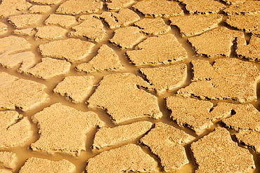 A farmers watering hole, almost dried up, on a farm near Shepperton, Victoria, Australia, Pacific