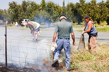 A roadside fire probably started by a motorist throwing a cigarette out of the window, near Shepperton, Victoria, Australia, Pacific