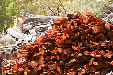 Red gum timber at a timber yard on the outskirts of the Barmah forest near Echuca, Victoria, Australia, Pacific