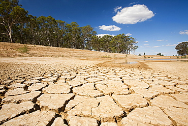 A farmers watering hole, almost dried up, on a farm near Shepperton, Victoria, Australia, Pacific