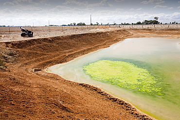 A farmers watering hole, almost dried up, on a farm near Shepperton, Victoria, Australia, Pacific