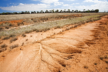 A farmers watering hole, almost dried up, on a farm near Echuca, Victoria, Australia, Pacific