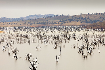 Lake Hume, the largest reservoir in Australia, at under 20% capacity after severe drought, Australia, Pacific