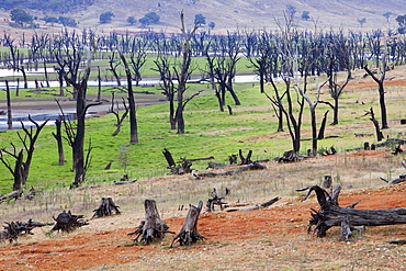 Lake Hume, the largest reservoir in Australia, at under 20% capacity after severe drought, Australia, Pacific