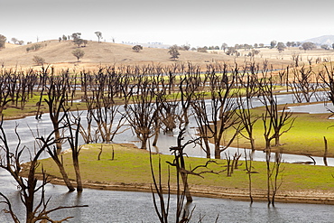 Lake Hume, the largest reservoir in Australia, at under 20% capacity after severe drought, Australia, Pacific