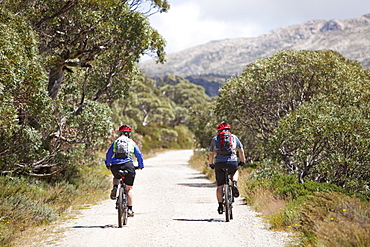 Mountain bikers cycling on the trail to Mount Kosciousko, Australias highest peak, in the Snowy Mountains, New South Wales, Australia, Pacific