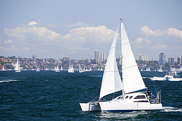 Sailing boats in Sydney Harbour, New South Wales, Australia, Pacific