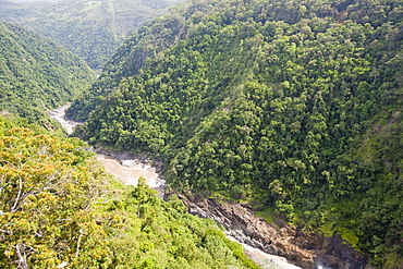 The Barron falls below Kuranda in the rainforest in Queensland, Australia, Pacific