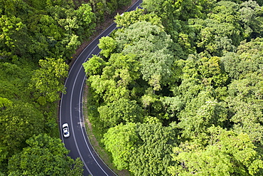 A road running through the Daintree rainforest in northern Queensland., Australia, Pacific