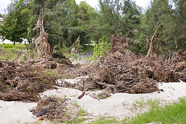 Flood debris and damage in Narira Creek in Cobargo, New South Wales, Australia, Pacific