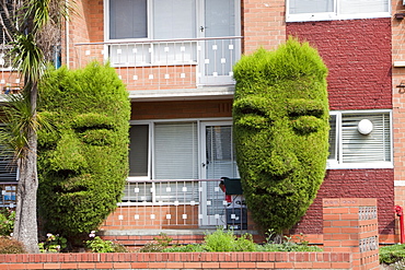 Topiary trees outside a block of flats in Hawthorn, Melbourne, Victoria, Australia, Pacific