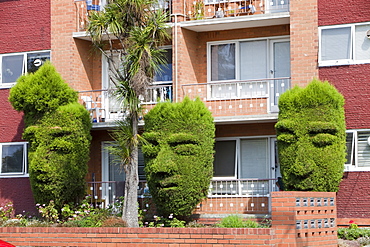 Topiary trees outside a block of flats in Hawthorn, Melbourne, Victoria, Australia, Pacific