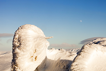 Hoar frost patterns on rocks on the summit of Red Screes in the Lake District, Cumbria, England, United Kingdom, Europe