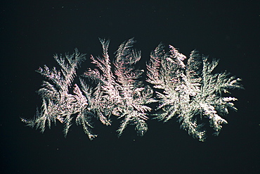 Ice crystals on a car windscreen in cold temperatures