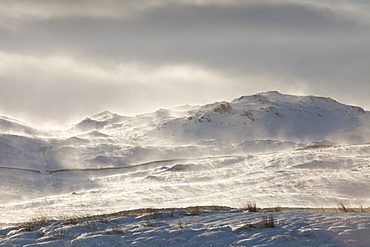 Wansfell on the side of Kirkstone Pass with snow and spindrift being blown across the hill side, Lake District, Cumbria, England, United Kingdom, Europe