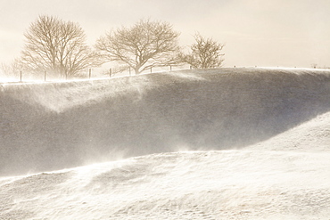 A field in Troutbeck with snow and spindrift being blown across the hill side, Lake District, Cumbria, England, United Kingdom, Europe