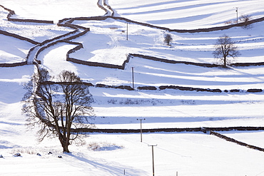 The Yorkshire Dales near Settle, covered in snow, Yorkshire, England, United Kingdom, Europe