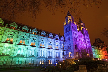 The Natural History Museum illuminated at night in South Kensington, London, England, United Kingdom, Europe