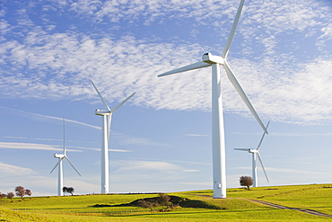 A wind farm on the outskirts of the Lake District with Skiddaw behind, Cumbria, England, United Kingdom, Europe