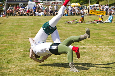 Cumberland Wrestling at Ambleside Sports, Lake District, Cumbria, England, United Kingdom, Europe