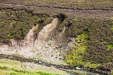 Eroded river bank in the Trough of Bowland, Lancashire, England, United Kingdom, Europe