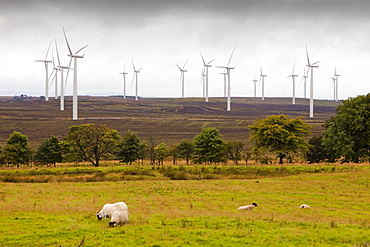 Black Law windfarm near Carluke in Scotland, United Kingdom, Europe