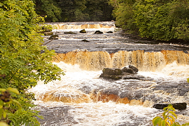 Aysgarth Falls at Aysgarth in the Yorkshire Dales National Park, Yorkshire, England, United Kingdom, Europe