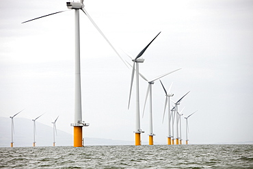 The newly built Robin Rigg offshore wind farm in the Solway Firth between Cumbria and Scotland, United Kingdom, Europe