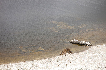 Low water level reveals old walls of Mardale village that was flooded when Haweswater reservoir was created, Lake District, Cumbria, England, United Kingdom, Europe