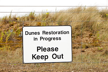 A dune restoration project at the Point of Ayr on the North Wales coast, Wales, United Kingdom, Europe