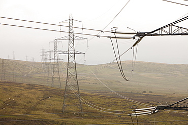 Electricity pylons traversing Bwlch Y Ddeufaen on the edge of the Snowdonia Mountains, North Wales, United Kingdom, Europe