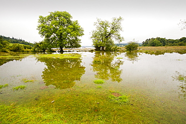 The edge of Lake Windermere at the highest level since the November 2009 floods, Ambleside, Lake District, Cumbria, England, United Kingdom, Europe