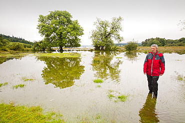 Man wading through flood water at the edge of Lake Windermere at the highest level since the November 2009 floods, Ambleside, Lake District, Cumbria, England, United Kingdom, Europe