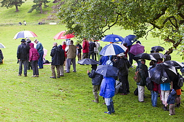 The Vale of Rydal Sheepdog Trials, in Ambleside, Lake District, Cumbria, England, United Kingdom, Europe