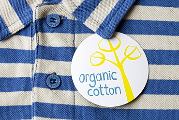 An organic cotton polo shirt