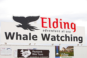 Whale watching companies advertising for trade in Reykjavik, Iceland, Polar Regions