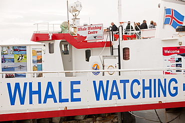 Whale watching companies advertising for trade in Reykjavik, Iceland, Polar Regions