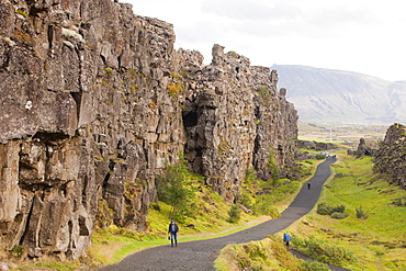 The rift valley at Pingvellir, Pingvellir National Park, UNESCO World Heritage Site, one of the most visited sites in Iceland, Polar Regions