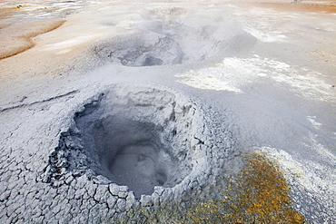 Bubbling mud pools in the geothermal area of Hverir near Myvatn, Northern Iceland, Polar Regions