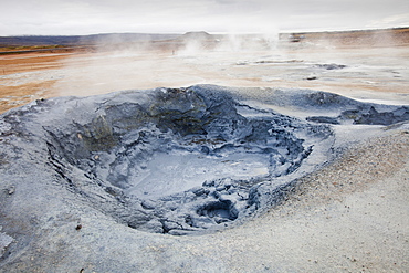 Bubbling mud pools in the geothermal area of Hverir near Myvatn, Northern Iceland, Polar Regions