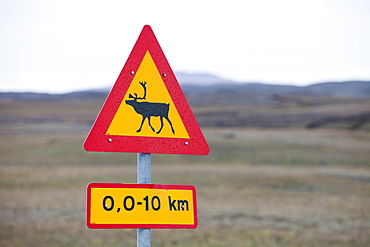 A warning sign for Reindeer in Northern Iceland, Polar Regions