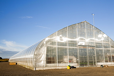 A greenhouse heated by geothermal energy for growing trees in Egilsstadir, Iceland, Polar Regions