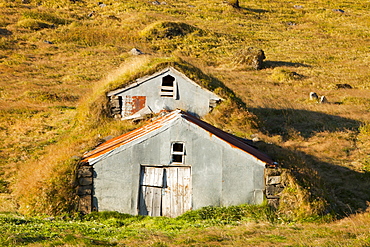 Traditional turf covered farm buidlings in the Skaftafell National Park, Iceland, Polar Regions