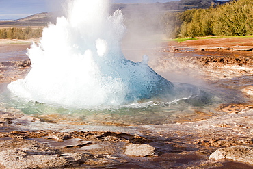 A Geysir at Geysir in Iceland, Polar Regions