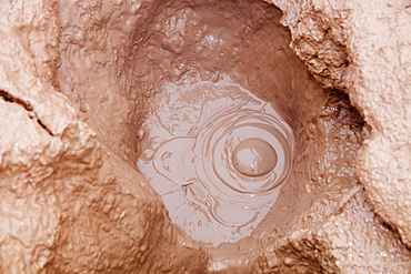 One of the many bubbling mud pools in a hot spring area on the outskirts of Hveragerdi, a geothermal hot spot, with steam rising from fumeroles right in the middle of town, South West Iceland, Polar Regions