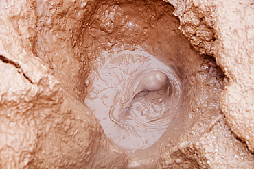 One of the many bubbling mud pools in a hot spring area on the outskirts of Hveragerdi, a geothermal hot spot, with steam rising from fumeroles right in the middle of town, South West Iceland, Polar Regions