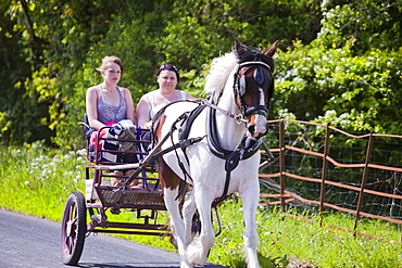 Gipsies travelling towards the Appleby Horse Fair on horse and traps, near Kirkby Lonsdale, Cumbria, England, United Kingdom, Europe