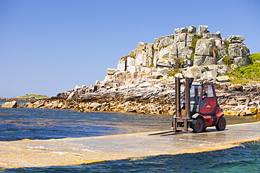 Tresco, one of the Scilly Isles, off South West Cornwall, United Kingdom, Europe