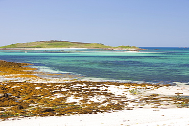 Tresco, one of the Scilly Isles, off South West Cornwall,, United Kingdom, Europe