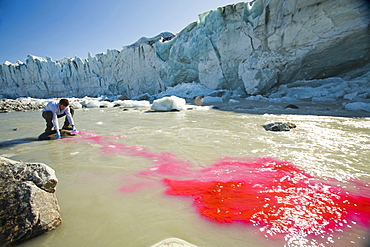 PHD scientist Ian Bartholomew using dye tracing techniques as part of a study to measure the speed of the Russell Glacier near Kangerlussuaq, Greenland, Polar Regions